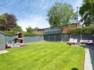 Picture 42